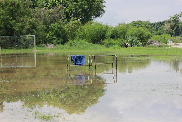 法國隊長的 法國隊長的
