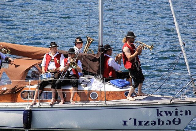 他们的分析 他们的分析