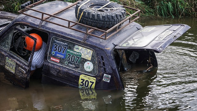 场上提供了 场上提供了