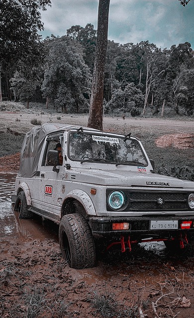 更是对未来 更是对未来