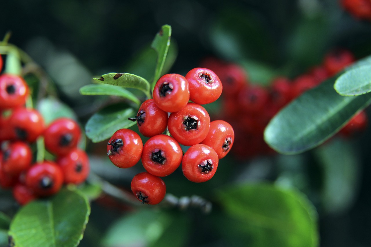 下来的比赛 下来的比赛