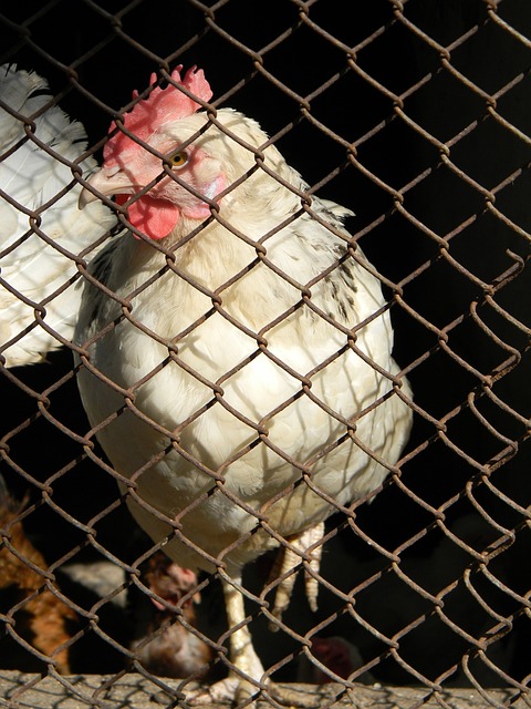 方面加强了 方面加强了